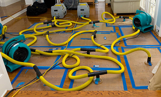 Professional Storm Water Damage Restoration technician working in Haverhill, FL